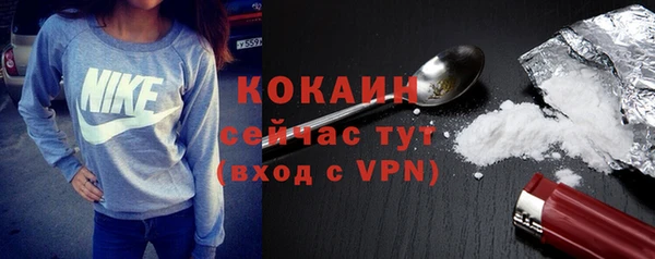 ГАЛЛЮЦИНОГЕННЫЕ ГРИБЫ Кадников